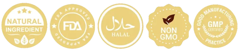 ICON (900 × 200 px) (1)